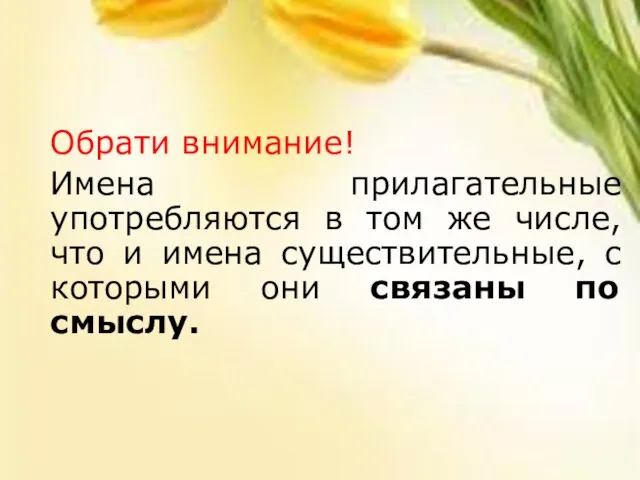 Обрати внимание! Имена прилагательные употребляются в том же числе, что и