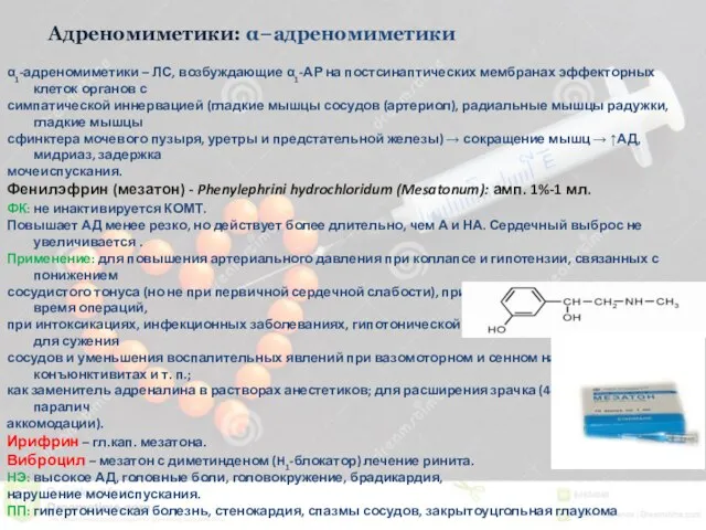 Адреномиметики: α−адреномиметики α1-адреномиметики – ЛС, возбуждающие α1-АР на постсинаптических мембранах эффекторных