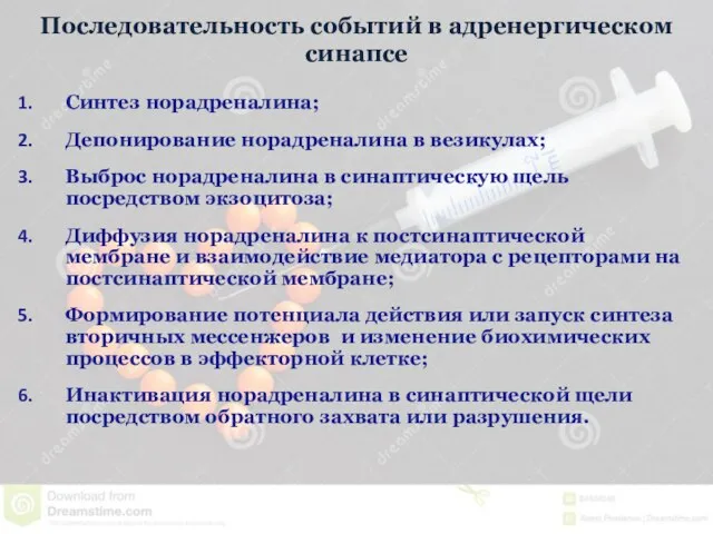 Последовательность событий в адренергическом синапсе Синтез норадреналина; Депонирование норадреналина в везикулах;