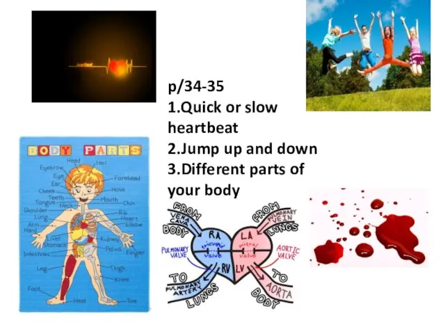 p/34-35 1.Quick or slow heartbeat 2.Jump up and down 3.Different parts