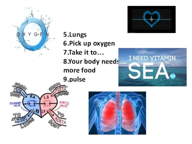 5.Lungs 6.Pick up oxygen 7.Take it to… 8.Your body needs more food 9.pulse