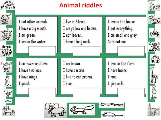 Animal riddles