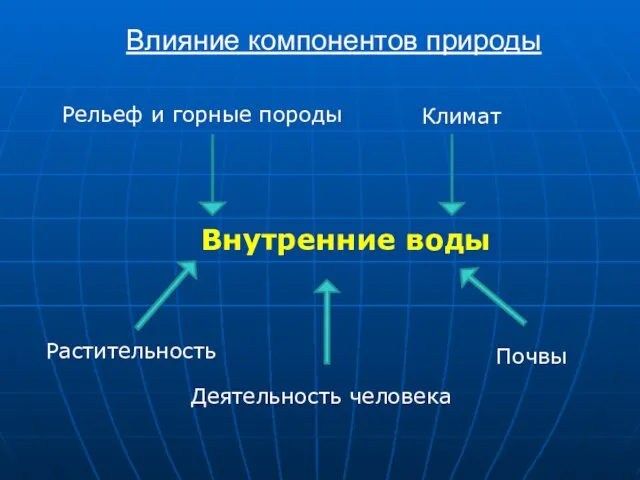 Внутренние воды Рельеф и горные породы Климат Деятельность человека Растительность Почвы Влияние компонентов природы