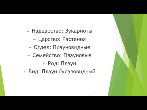 Надцарство: Эукариоты Царство: Растения Отдел: Плауновидные Семейство: Плауновые Род: Плаун Вид: Плаун булавовидный