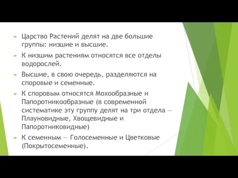 Царство Растений делят на две большие группы: низшие и высшие. К