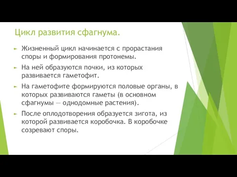 Цикл развития сфагнума. Жизненный цикл начинается с прорастания споры и формирования