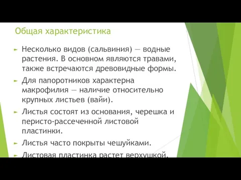 Общая характеристика Несколько видов (сальвиния) — водные растения. В основном являются