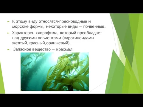 К этому виду относятся-пресноводные и морские формы, некоторые виды — почвенные.