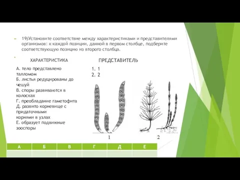 19)Установите соответствие между характеристиками и представителями организмов: к каждой позиции, данной