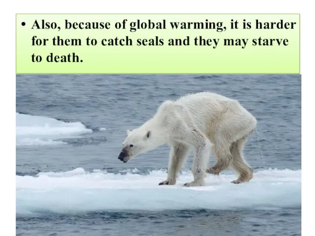 Also, because of global warming, it is harder for them to