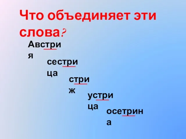 Что объединяет эти слова? сестрица стриж Австрия устрица осетрина