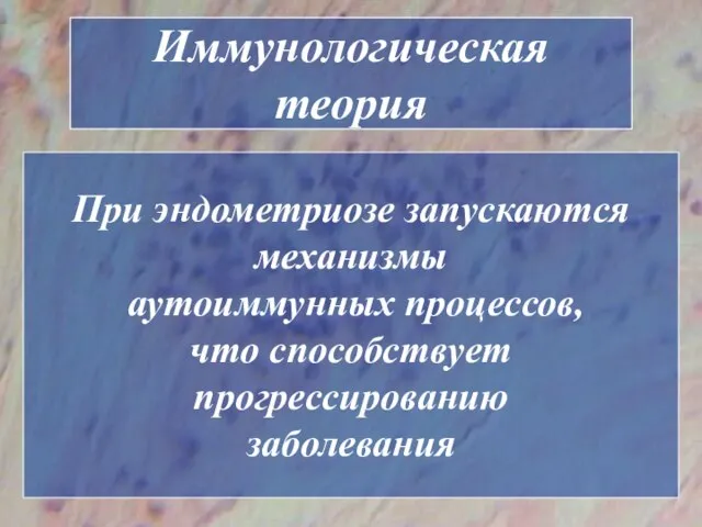 Иммунологическая теория При эндометриозе запускаются механизмы аутоиммунных процессов, что способствует прогрессированию заболевания