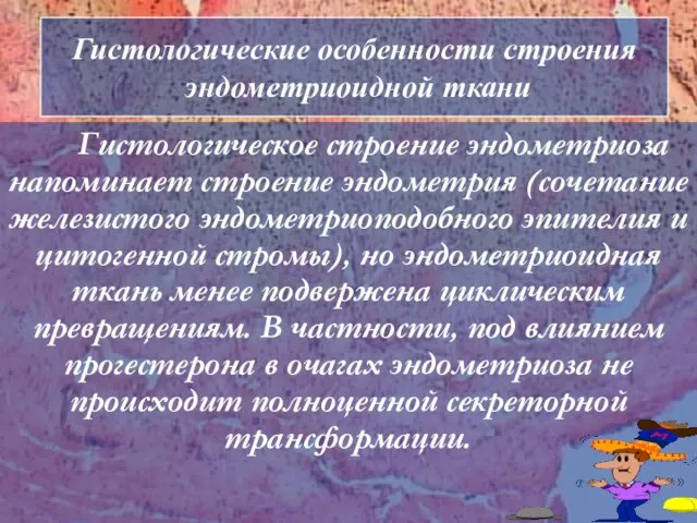 Гистологические особенности строения эндометриоидной ткани Гистологическое строение эндометриоза напоминает строение эндометрия