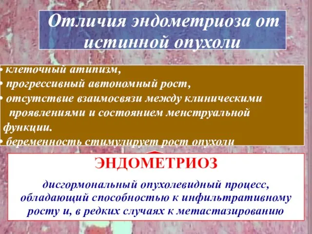 клеточный атипизм, прогрессивный автономный рост, отсутствие взаимосвязи между клиническими проявлениями и