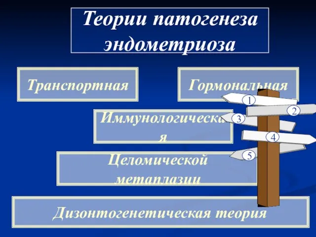 Теории патогенеза эндометриоза Транспортная Целомической метаплазии Дизонтогенетическая теория Гормональная Иммунологическая 1 2 3 4 5