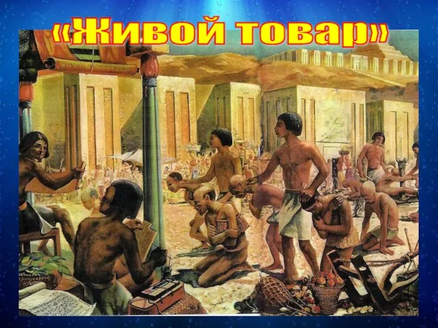 «Живой товар»