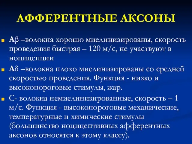 АФФЕРЕНТНЫЕ АКСОНЫ Аβ –волокна хорошо миелинизированы, скорость проведения быстрая – 120