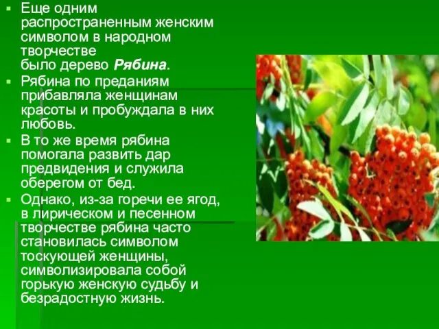 Еще одним распространенным женским символом в народном творчестве было дерево Рябина.