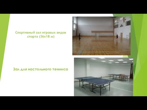Спортивный зал игровых видов спорта (36х18 м) Зал для настольного тенниса