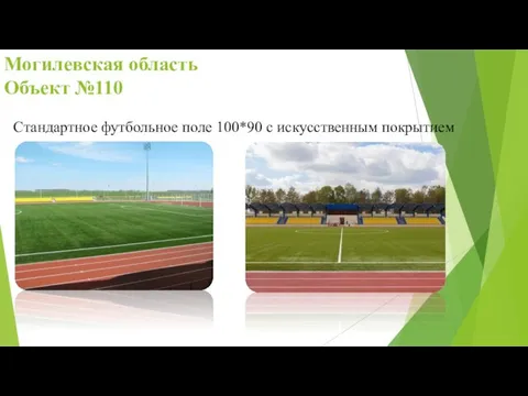Могилевская область Объект №110 Стандартное футбольное поле 100*90 с искусственным покрытием