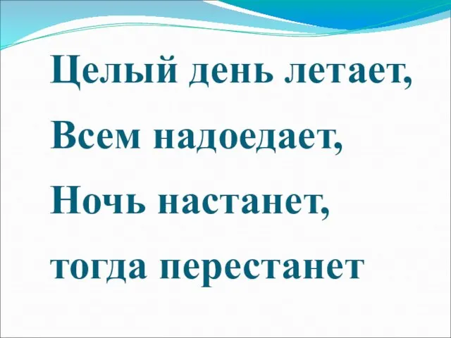 Целый день летает, Всем надоедает, Ночь настанет, тогда перестанет