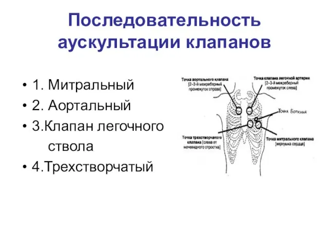 Последовательность аускультации клапанов 1. Митральный 2. Аортальный 3.Клапан легочного ствола 4.Трехстворчатый