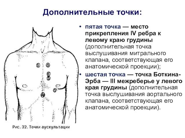 Дополнительные точки: пятая точка — место прикрепления IV ребра к левому