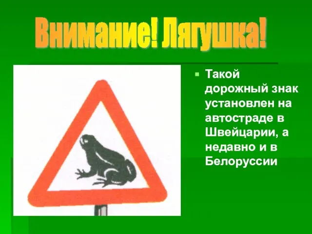 Такой дорожный знак установлен на автостраде в Швейцарии, а недавно и в Белоруссии Внимание! Лягушка!