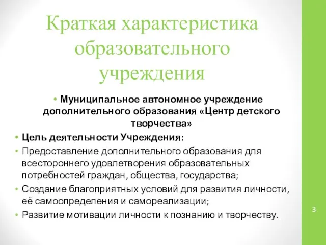 Краткая характеристика образовательного учреждения Муниципальное автономное учреждение дополнительного образования «Центр детского