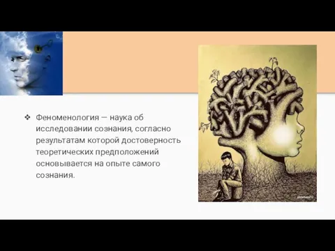 Феноменология — наука об исследовании сознания, согласно результатам которой достоверность теоретических