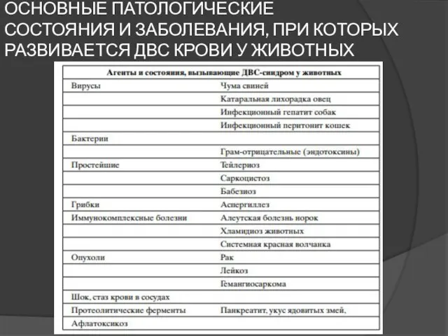 ОСНОВНЫЕ ПАТОЛОГИЧЕСКИЕ СОСТОЯНИЯ И ЗАБОЛЕВАНИЯ, ПРИ КОТОРЫХ РАЗВИВАЕТСЯ ДВС КРОВИ У ЖИВОТНЫХ