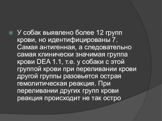 У собак выявлено более 12 групп крови, но идентифицированы 7. Самая