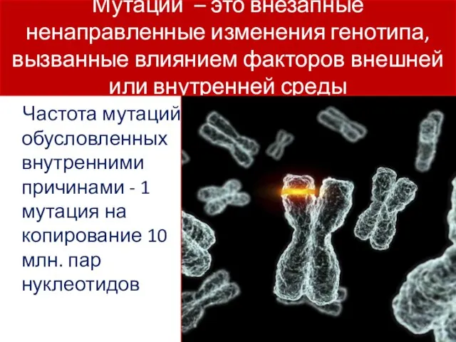 Мутации – это внезапные ненаправленные изменения генотипа, вызванные влиянием факторов внешней