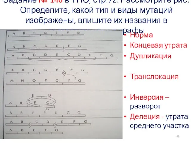 Задание № 146 в ТПО, стр.72. Рассмотрите рис. Определите, какой тип