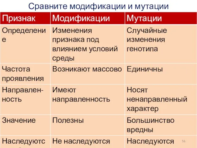 Сравните модификации и мутации