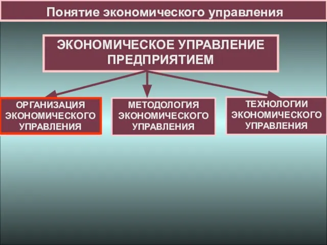 Понятие экономического управления