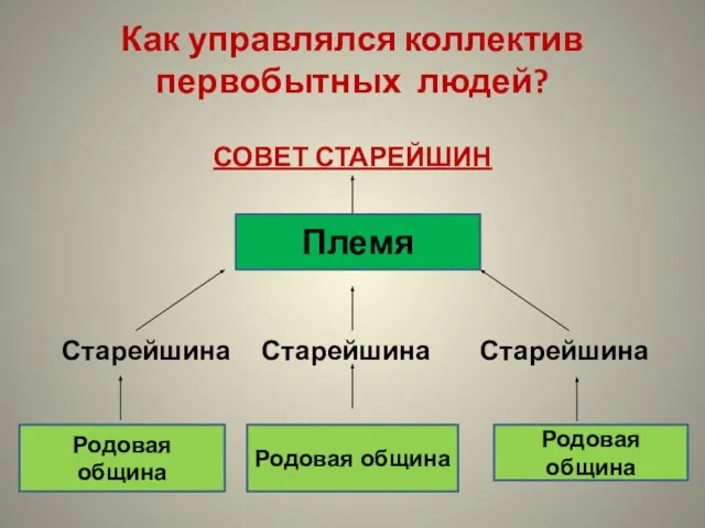 Как управлялся коллектив первобытных людей? СОВЕТ СТАРЕЙШИН Старейшина Старейшина Старейшина Племя