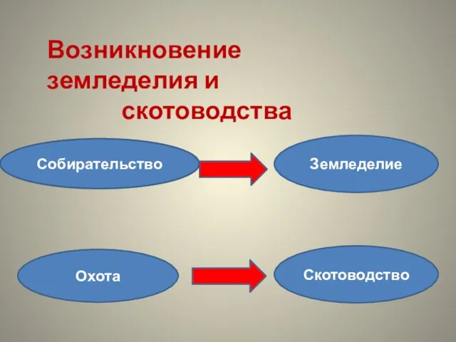 Возникновение земледелия и скотоводства Собирательство Земледелие Охота Скотоводство