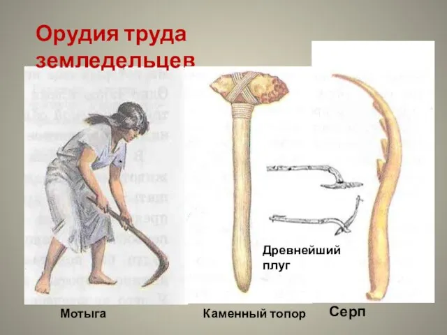 Орудия труда земледельцев Мотыга Каменный топор Серп Древнейший плуг