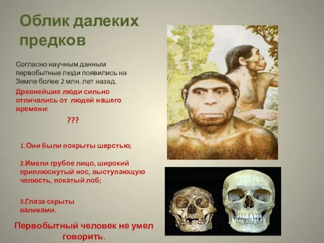 Облик далеких предков Согласно научным данным первобытные люди появились на Земле