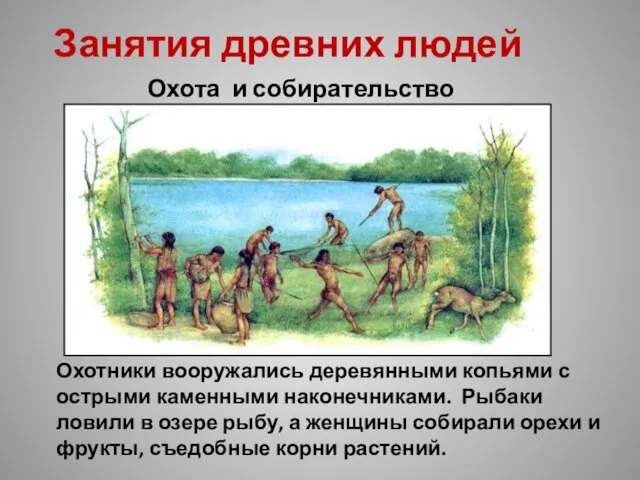 Занятия древних людей Охота и собирательство Охотники вооружались деревянными копьями с
