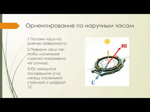 Ориентирование по наручным часам 1.Положи часы на ровную поверхность; 2.Поверни часы