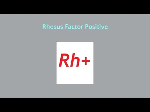 Rhesus Factor Positive