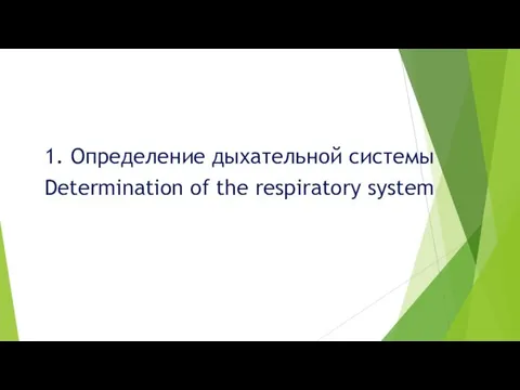 1. Определение дыхательной системы Determination of the respiratory system