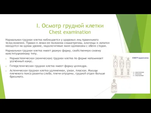 I. Осмотр грудной клетки Chest examination Нормальная грудная клетка наблюдается у