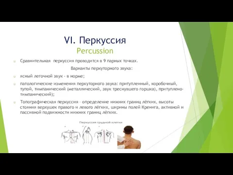 VI. Перкуссия Percussion Сравнительная перкуссия проводится в 9 парных точках. Варианты