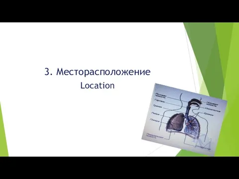 3. Месторасположение Location