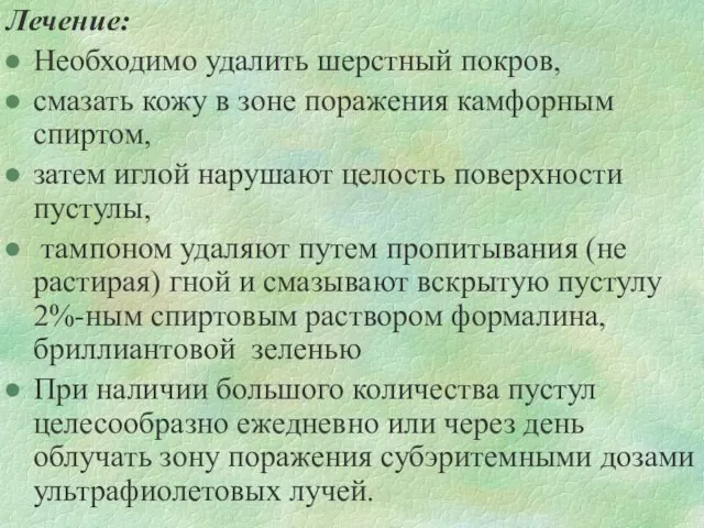 Лечение: Необходимо удалить шерстный покров, смазать кожу в зоне поражения камфорным