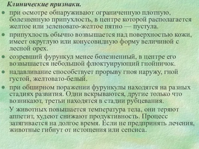 Клинические признаки. при осмотре обнаруживают ограниченную плотную, болезненную припухлость, в центре