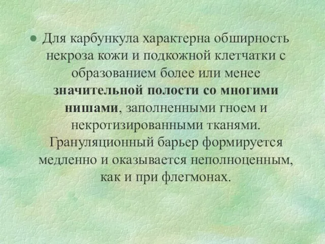 Для карбункула характерна обширность некроза кожи и подкожной клетчатки с образованием